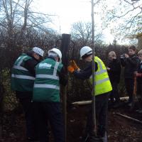 The Hill Planting2012